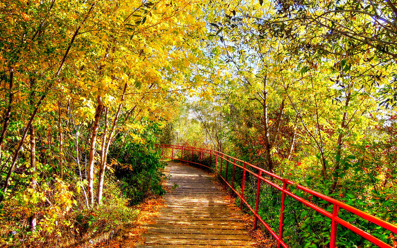 Wooden Path with Red Rail