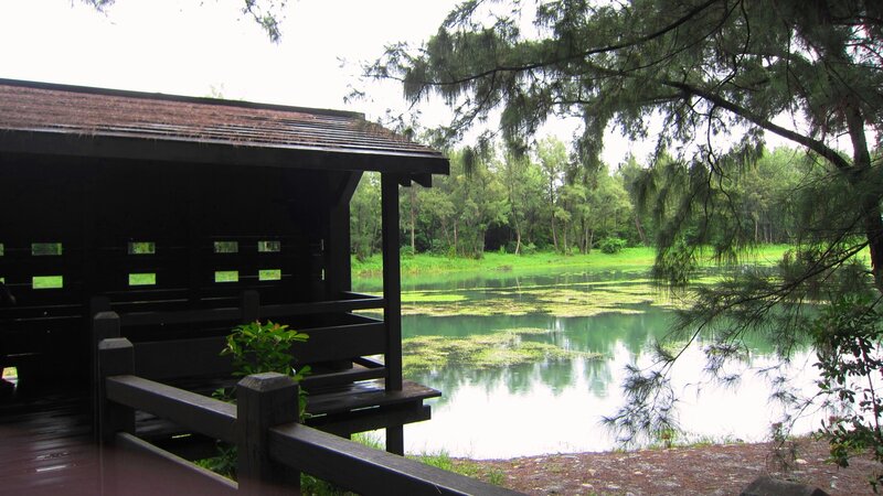 Wooden Pavilion by Pond — Green