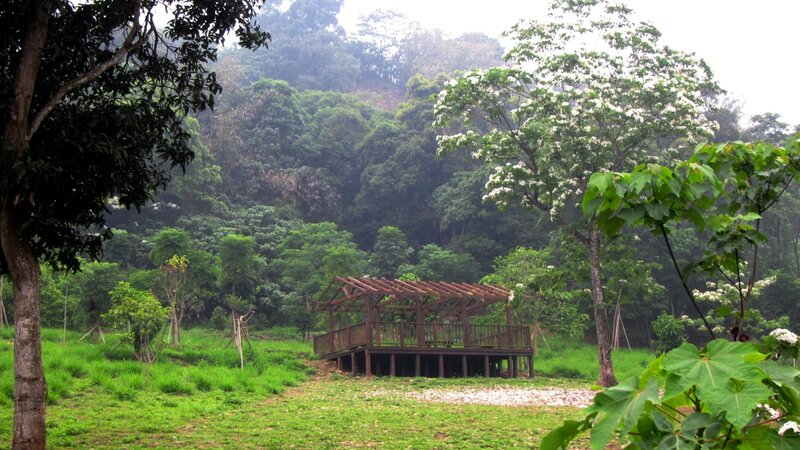 Wooden Pavilion in Forest — Green