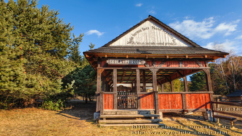 Wooden Pavilion in Forest