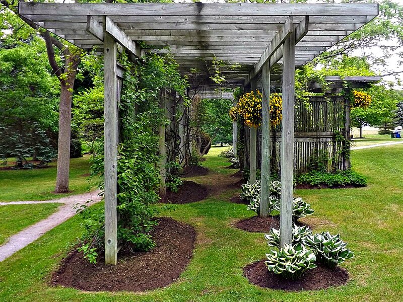 Wooden Pergola in Garden