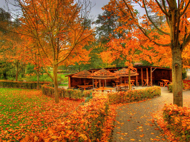 Wooden Picnic Shelters