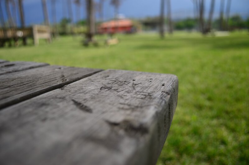 Wooden Picnic Table — Green, Serene, Afternoon, Photograph, Grass