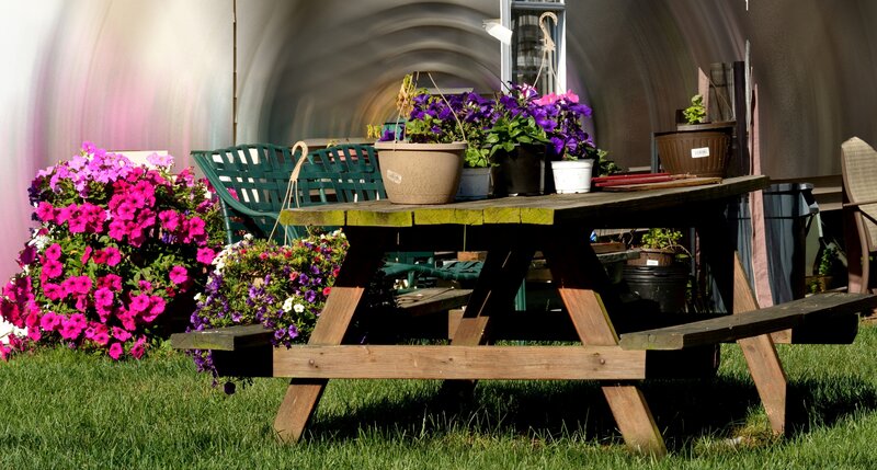 Wooden Picnic Table — Green, Serene, Afternoon