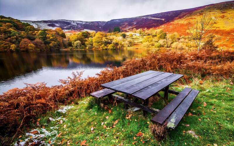 Wooden Picnic Table — Green, Serene, Autumn