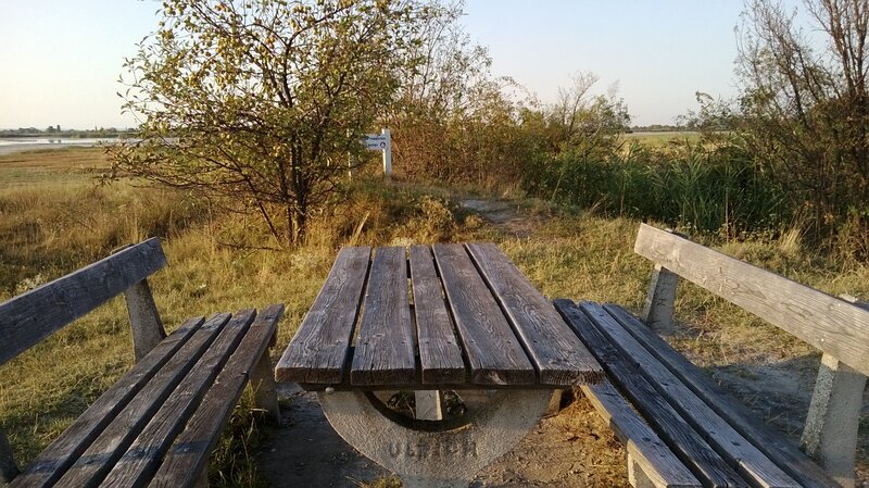Wooden picnic table in a field