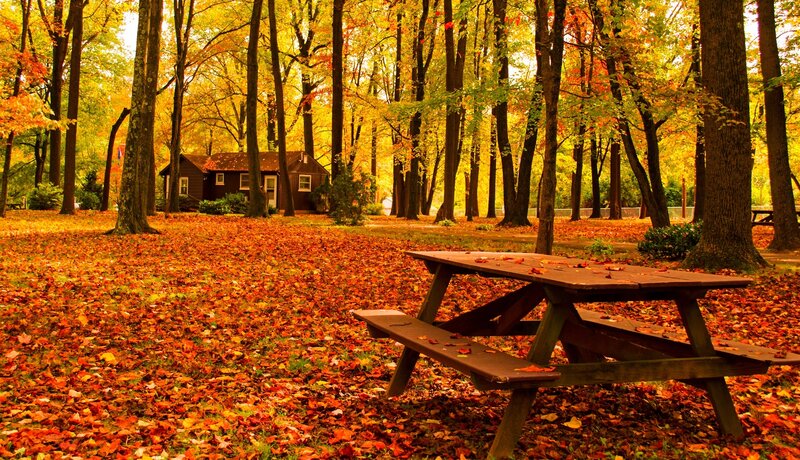 Wooden Picnic Table — Orange