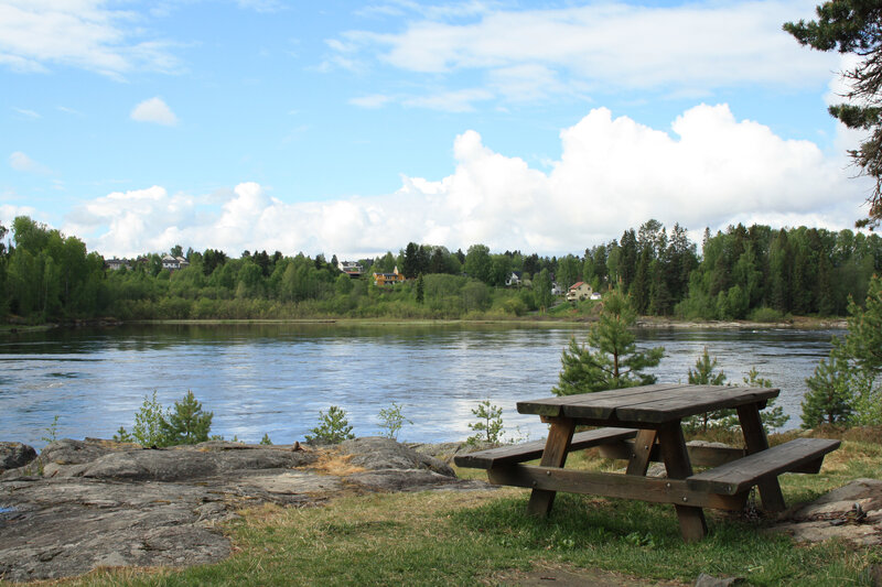 Wooden Picnic Table