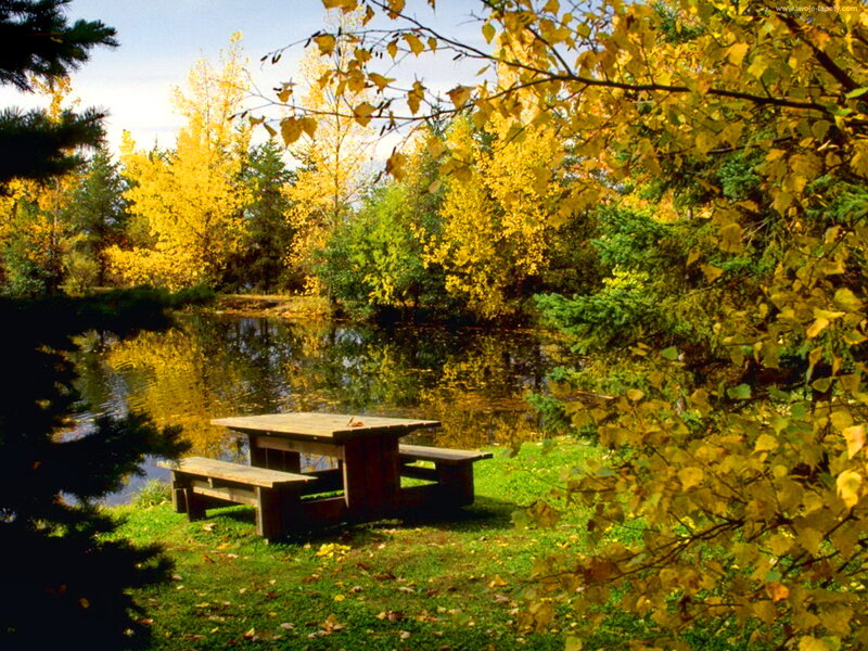 Wooden Picnic Table — Yellow
