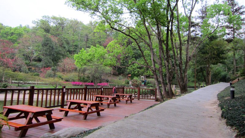 Wooden Picnic Tables — Green, Serene