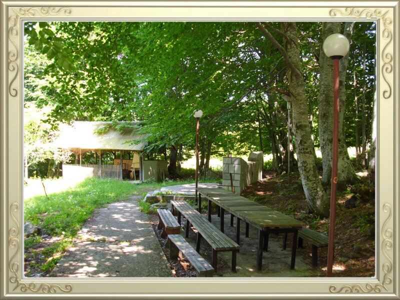 Wooden Picnic Tables — Green