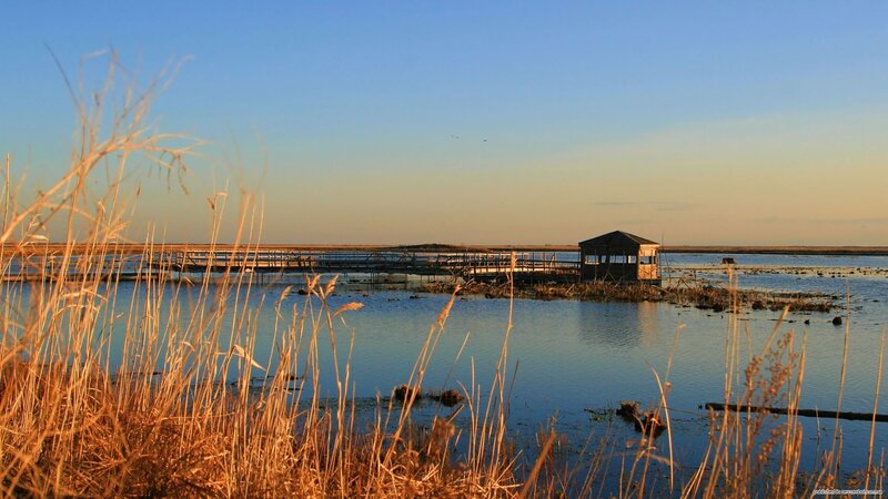 Wooden Pier and Hut