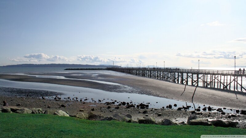 Wooden Pier at Beach — Green