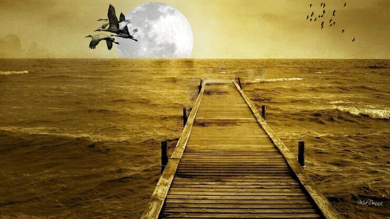 Wooden Pier at Night — Brown, Serene