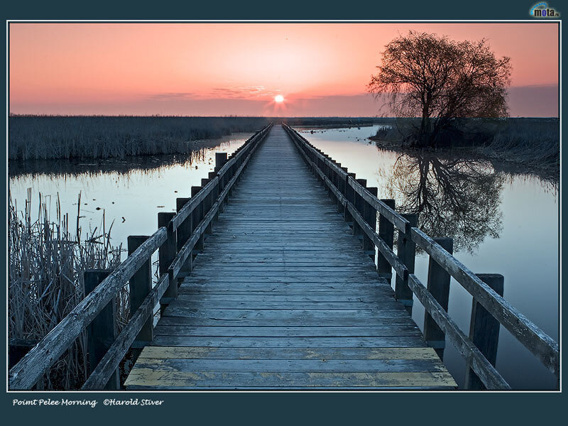 Wooden Pier at Sunrise