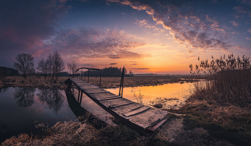 Wooden Pier at Sunset — Orange, Serene, Photograph, Reeds
