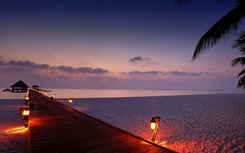 Wooden Pier at Sunset — Purple, Serene, Photograph, Palm Tree
