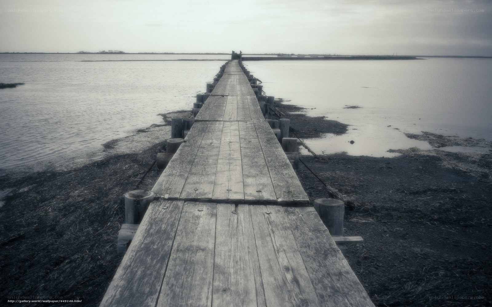 Wooden pier extending into water