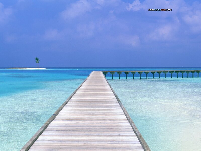 Wooden Pier in Tropical Water