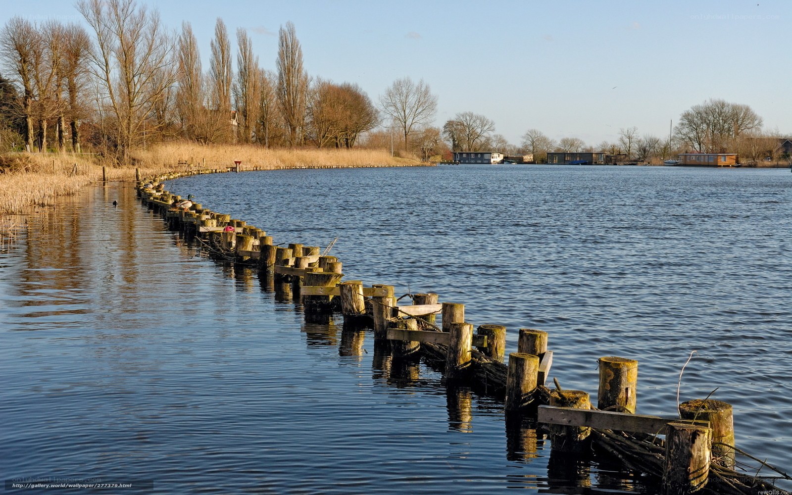 Wooden pier on a calm lake