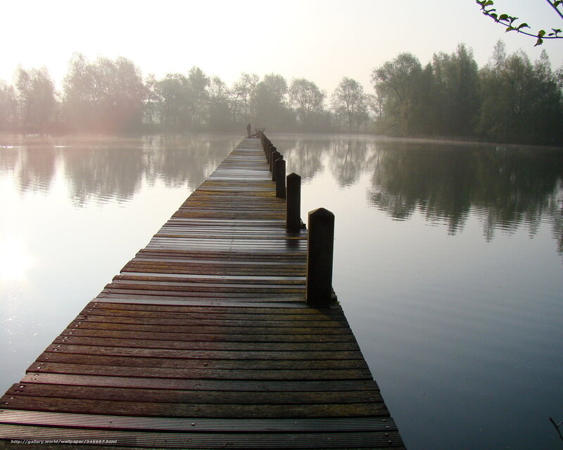 Wooden Pier on Lake — Brown, Serene, Morning, Photograph