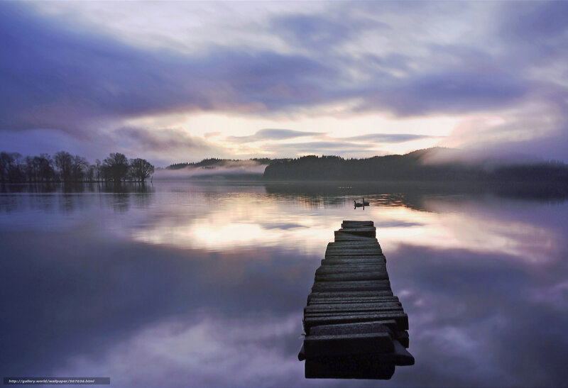 Wooden Pier on Lake — Purple, Serene, Morning