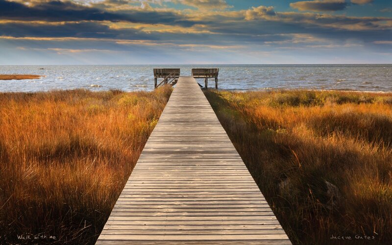 Wooden Pier on Marsh