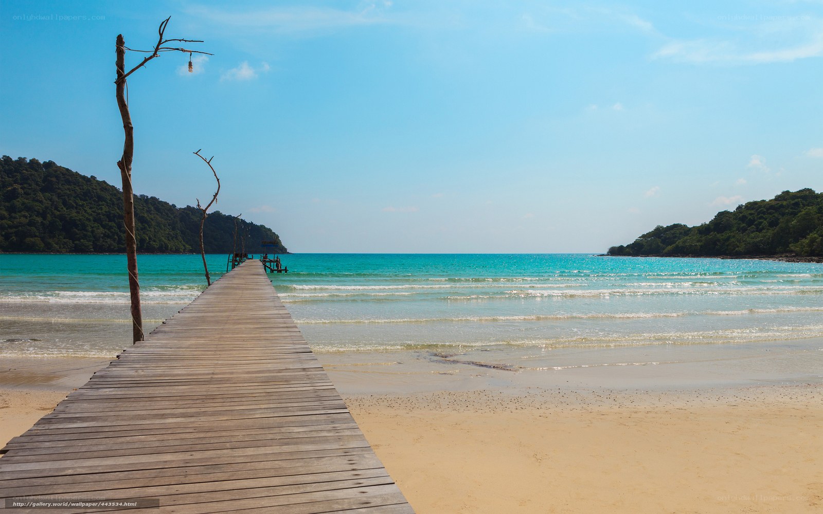 Wooden pier on tropical beach