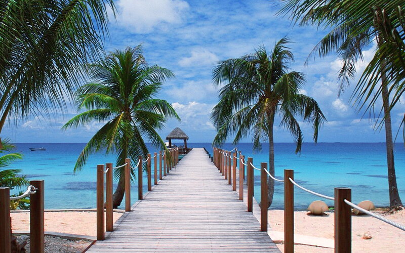 Wooden Pier on Tropical Beach — Blue, Serene, Afternoon, Photograph