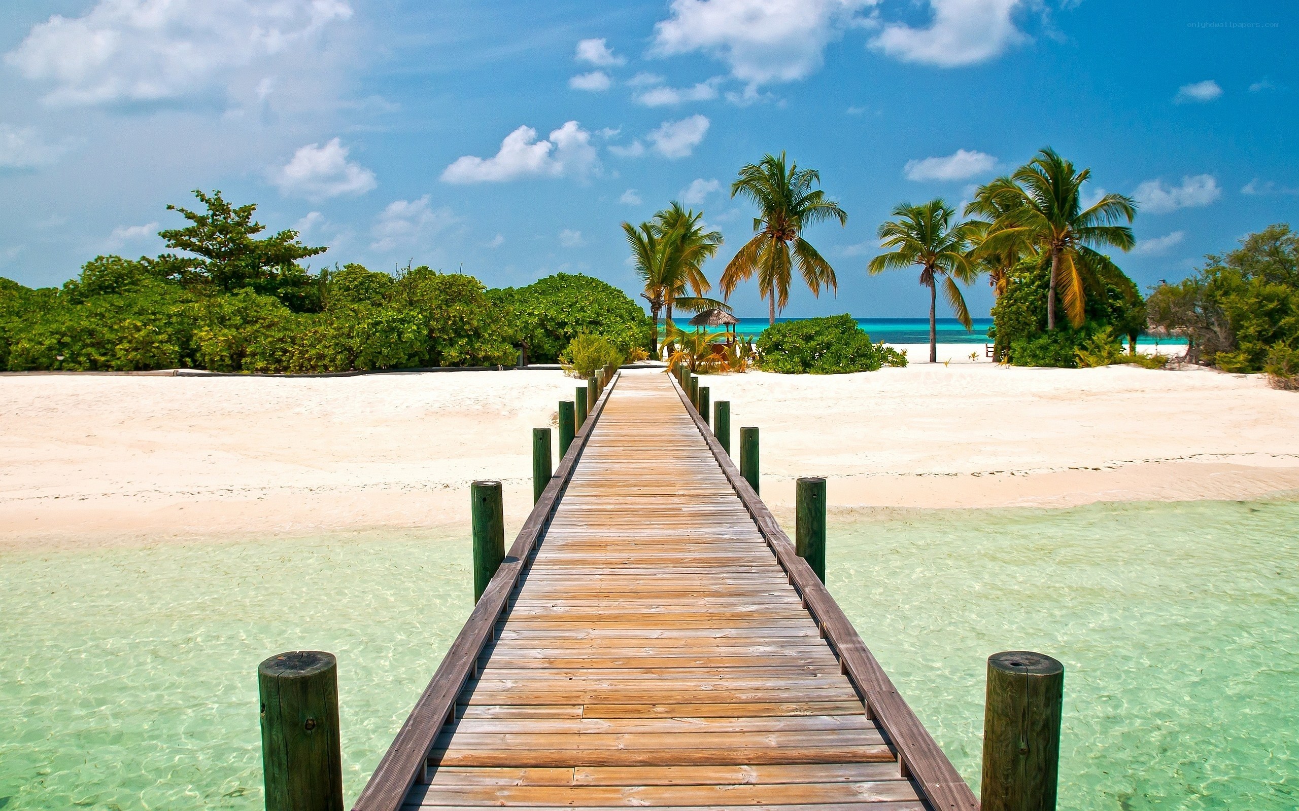 Wooden pier on tropical beach