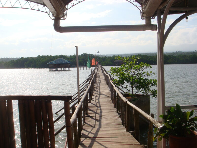 Wooden pier over calm water