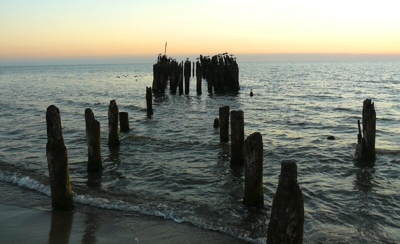Wooden Pier Pilings — Blue, Serene