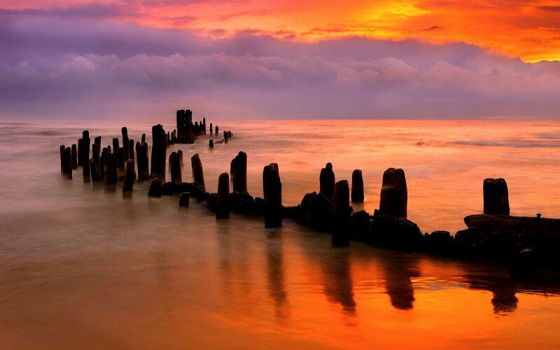 Wooden Pier Pilings — Orange
