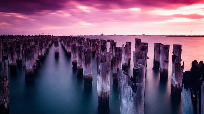 Wooden Pier Pilings — Purple