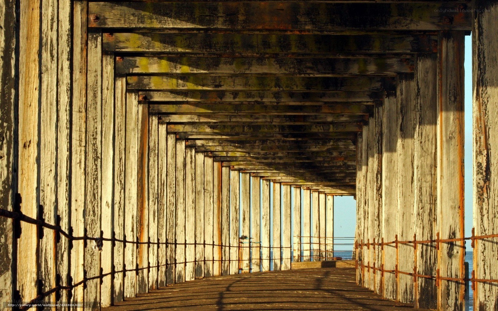 Wooden pier under sunlight