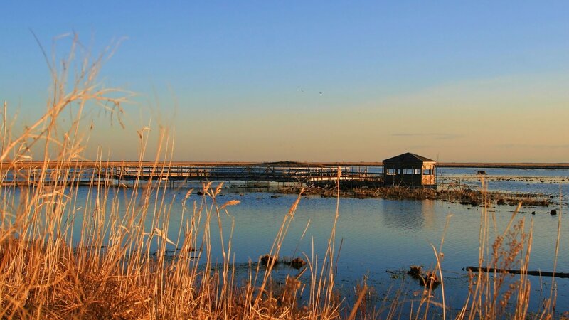 Wooden Pier with Gazebo — Blue, Serene