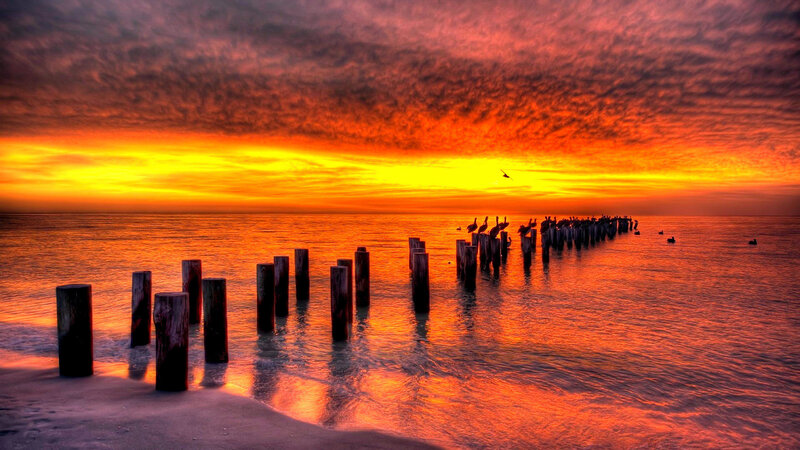 Wooden Pilings at Sunset — Orange, Dramatic, Photograph, Birds