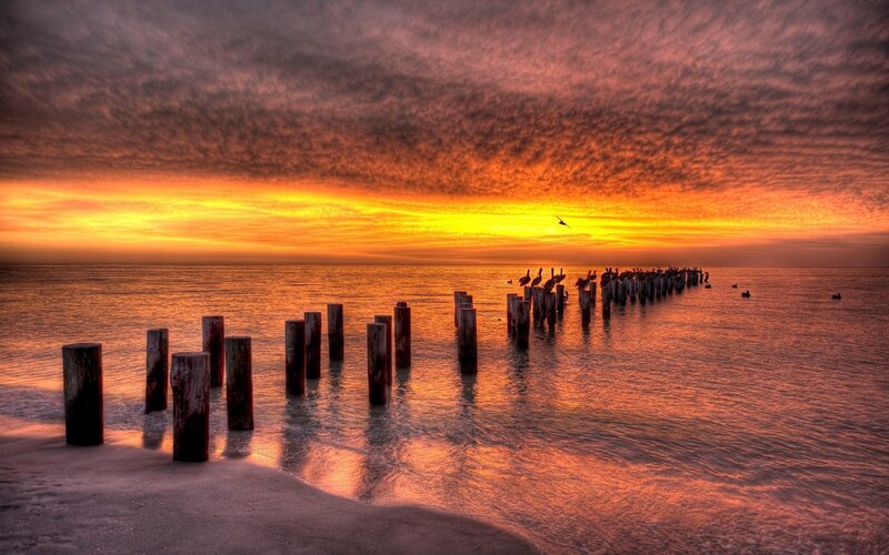 Wooden Pilings at Sunset — Orange, Dramatic, Photograph