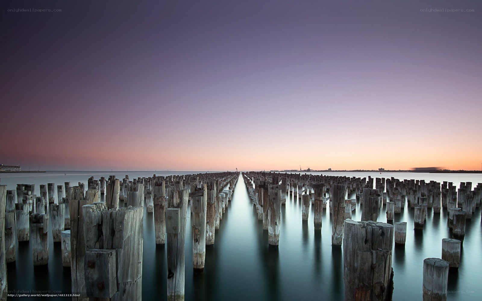 Wooden pilings at sunset