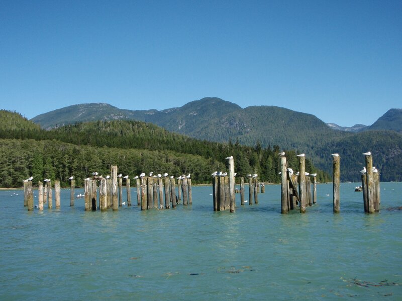 Wooden Pilings in Water — Blue, Serene
