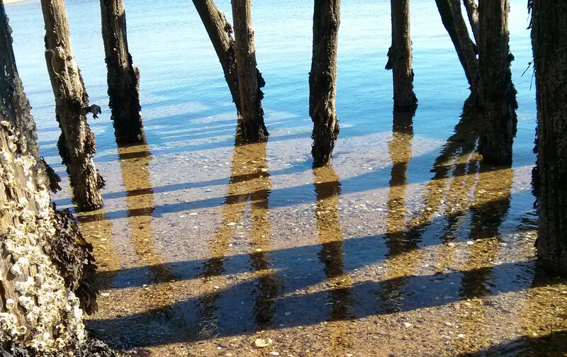 Wooden Pilings in Water — Blue