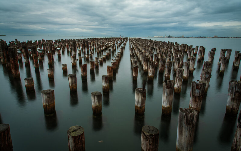 Wooden Pilings in Water — Gray