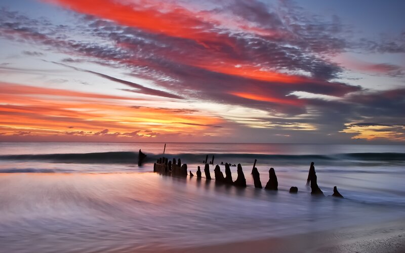 Wooden Pilings on Beach