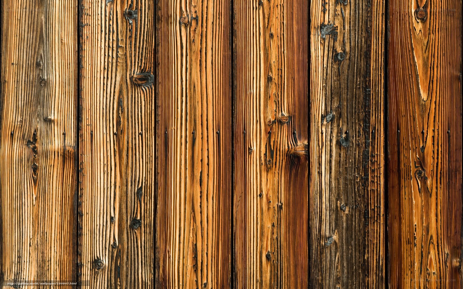 wooden plank texture