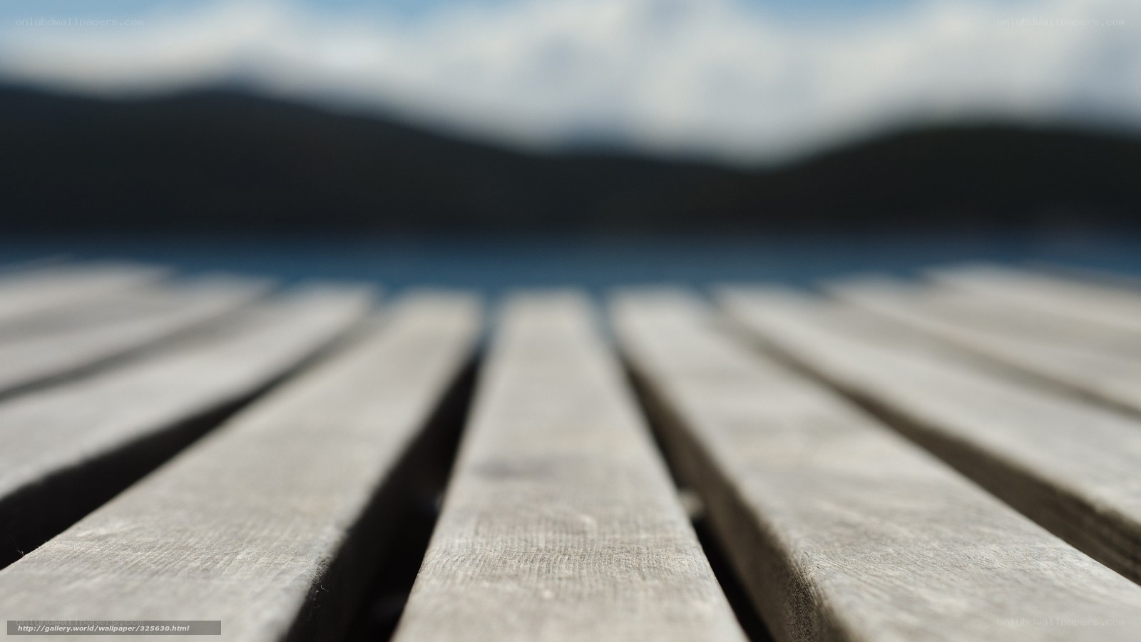 Wooden planks by the lake