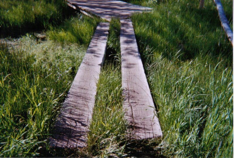 Wooden Planks in Grass