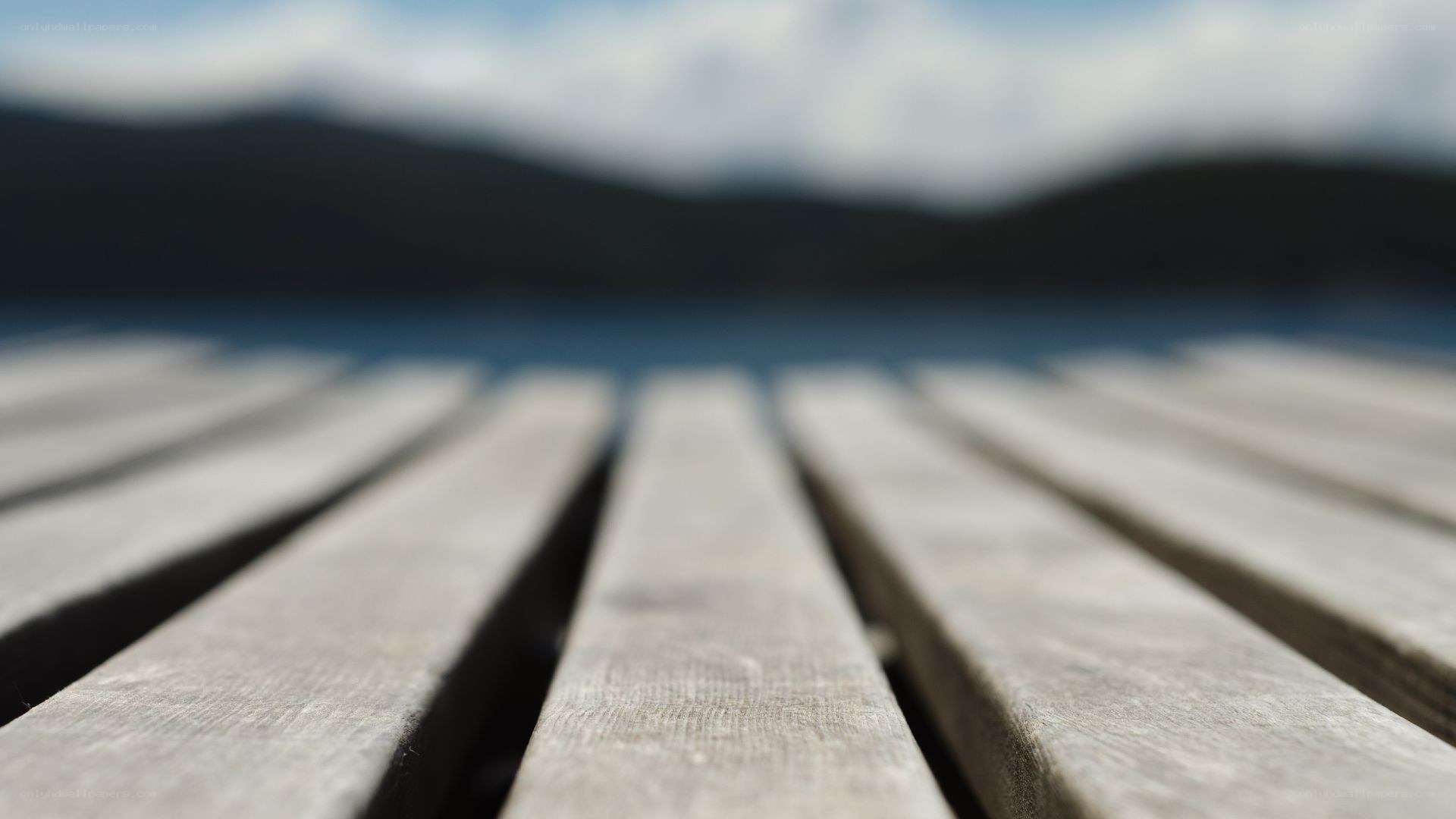 Wooden planks on a dock