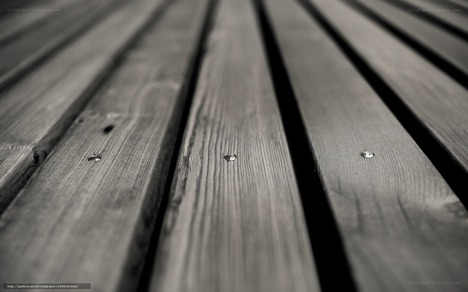 wooden planks texture