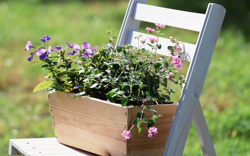 Wooden Planter with Flowers — Green