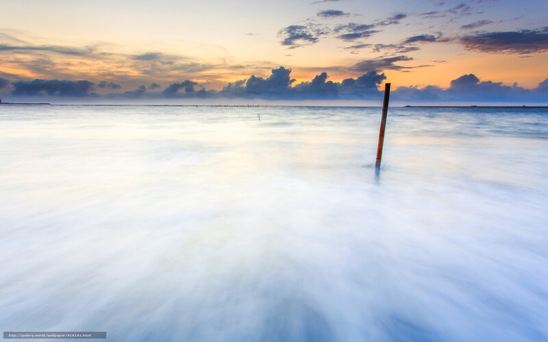 Wooden Pole in Water